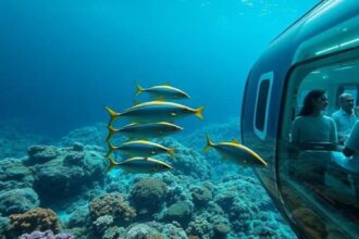 Mumbai to Dubai via underwater rail? A UAE company plans high-speed travel at 1,000 kmph to transport passengers, water, and oil