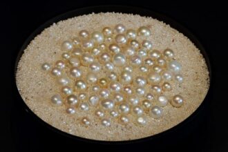 Button pearls, which are slightly flattened in shape, from Bahrain. Natural pearls, or Lulu, come in different shapes, sizes, lustres and colours. During the pearling era, a local vocabulary was developed to identify the extensive variety of pearls, which is still in use today. Picture by Manuel Cohen (Photo by Manuel Cohen / Manuel Cohen / Manuel Cohen via AFP)