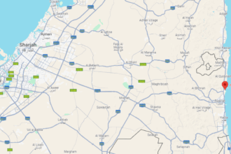 New rail freight option gives UAE an overland edge